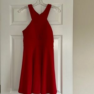 LuLus Dress